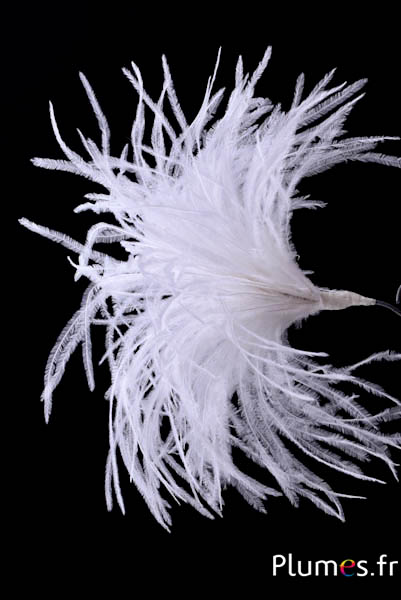 Plumet autruche avec anneau - ht 18-20 cm - blanc